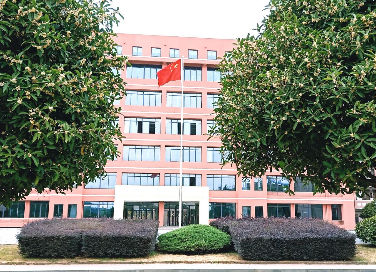 湖口二中:三秋桂子 满园飘香