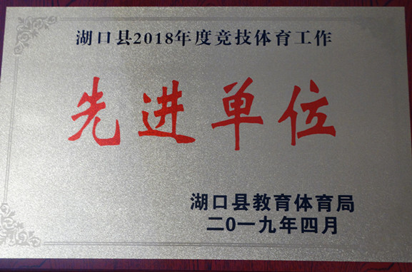 县竞技体育先进单位_副本.jpg
